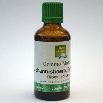 Johannisbeere, Schwarze (Ribes nigrum) | 50 ml