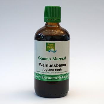 Walnussbaum (Juglans regia) | 100 ml