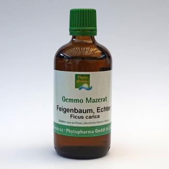 Feigenbaum, Echter (Ficus carica) | 100 ml