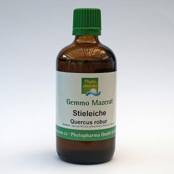 Stieleiche (Quercus robur) | 100 ml