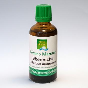 Eberesche (Sorbus aucuparia) | 100 ml