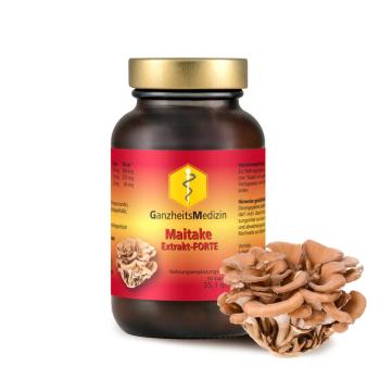Maitake (Klapperschwamm) Extrakt – FORTE