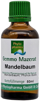 Mandelbaum (Prunus dulcis) | 50 ml