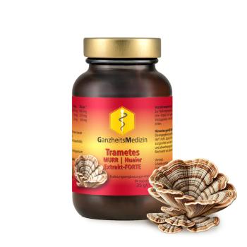 Trametes robiniophila Murr | HUAIER Extrakt – FORTE