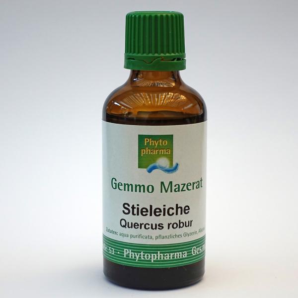 Stieleiche (Quercus robur) | 50 ml