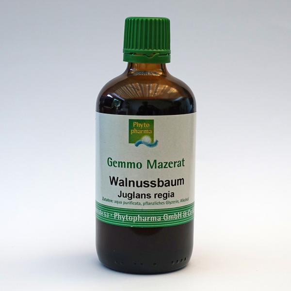 Walnussbaum (Juglans regia) | 100 ml