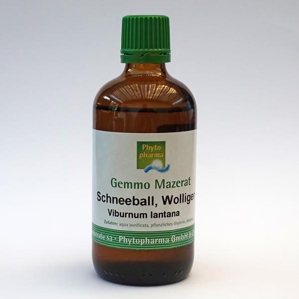 Schneeball, Wolliger (Viburnum lantana) | 100 ml