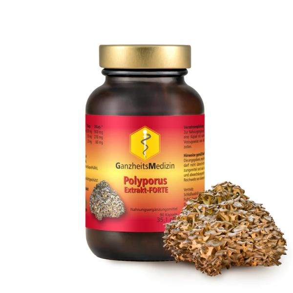 Polyporus (Eichhase) Extrakt – FORTE