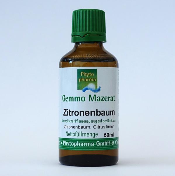 Zitronenbaum (Citrus limon) | 50 ml