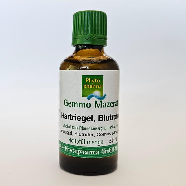 Hartriegel, Blutroter (Cornus sanguinea) | 50 ml