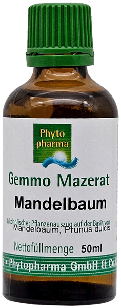 Mandelbaum (Prunus dulcis) | 50 ml