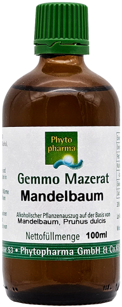 Mandelbaum (Prunus dulcis) | 100 ml