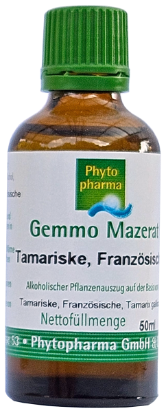 Tamariske, Französische (Tamarix gallica) | 50 ml