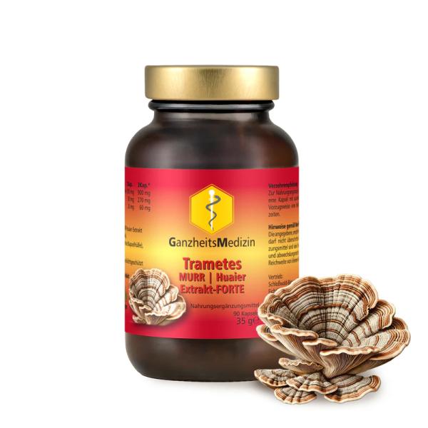 Trametes robiniophila Murr | HUAIER Extrakt – FORTE