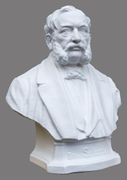 Dr. Schüßler Büste