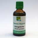 Hängebirke (Betula pendula) | 50 ml