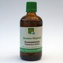 Esskastanie (Castanea sativa) | 100 ml