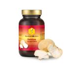 Hericium (Igelstachelbart) Extrakt – FORTE