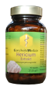 Hericium Extrakt