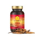 Cordyceps Extrakt – FORTE