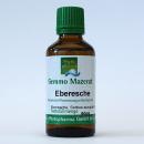 Eberesche (Sorbus aucuparia) | 50 ml