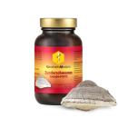 Zunderschwamm Extrakt – FORTE