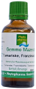 Tamariske, Französische (Tamarix gallica) | 50 ml